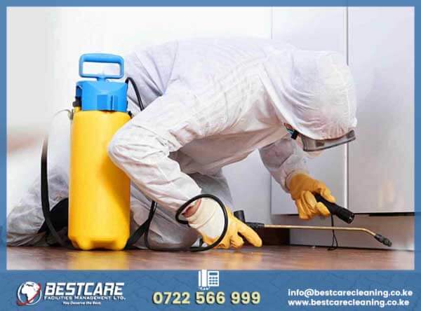Pest control and fumigation services Nairobi